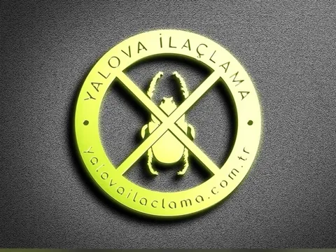 logo 81