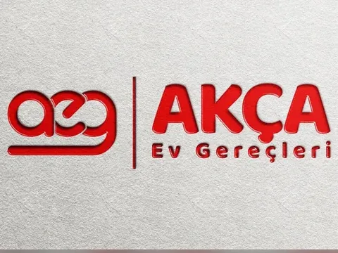 logo 100